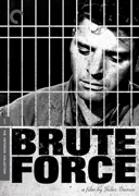 Brute Force Criterion DVD